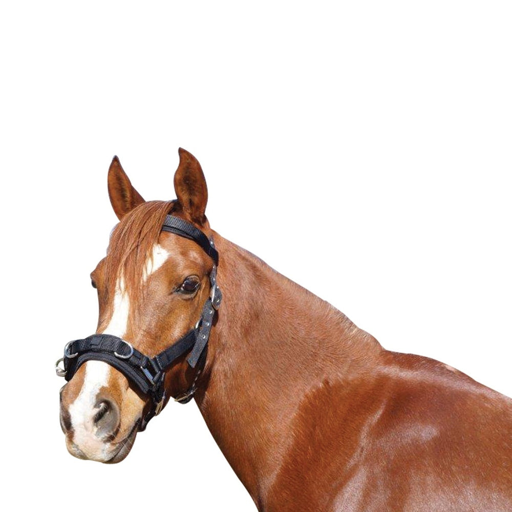 Eureka - Nylon Lunge Cavesson - Small/Medium