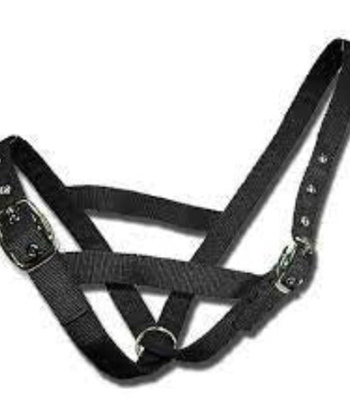Bainbridge Cattle Halter - Cow - Black