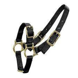 Bainbridge Sheep/Goat Halter - Black