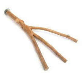 Bird Perch Multi Branch 40cm x 3cm