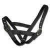 Bainbridge Cattle Halter - Heifer - Black