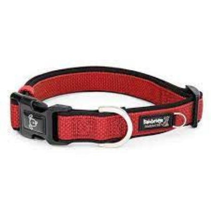 Premium Sport Neoprene Dog Collar