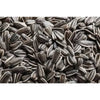 Sunflower Seed Stick 50g