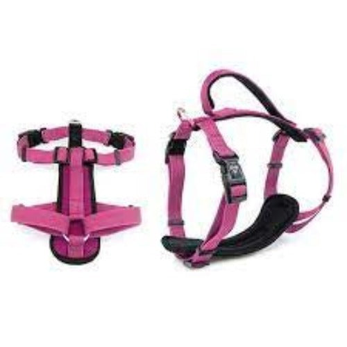 Premium Sport Dog Harness - M -50-65cm - Pink