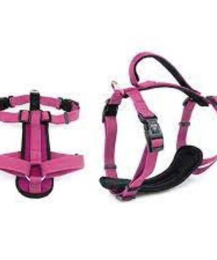 Premium Sport Dog Harness - M -50-65cm - Pink