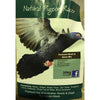 Seedhouse Natural Pigeon Racer 20kg