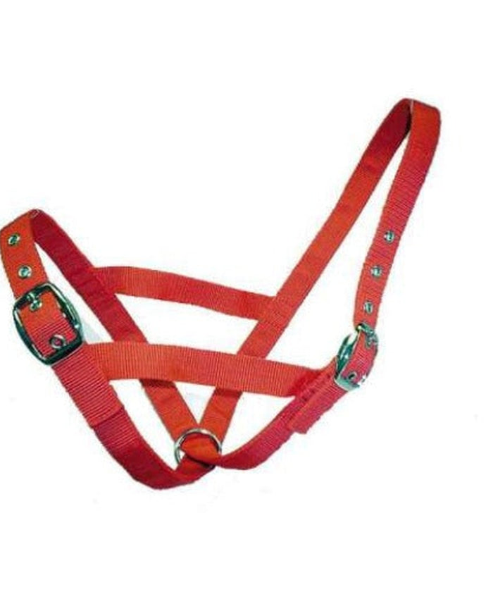 Bainbridge Cattle Halter - Calf - Red