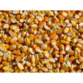 Seedhouse Whole Maize 20kg