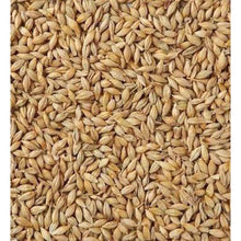 5 Bags - Whole Barley (20kg)