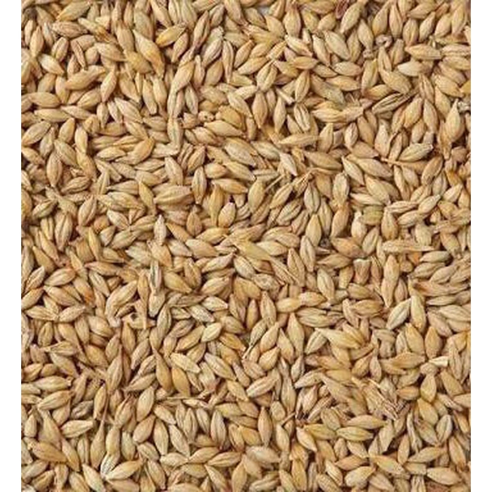 5 Bags - Whole Barley (20kg)