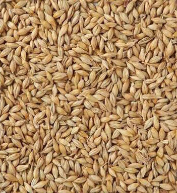 5 Bags - Whole Barley (20kg)