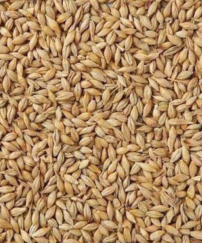 5 Bags - Whole Barley (20kg)