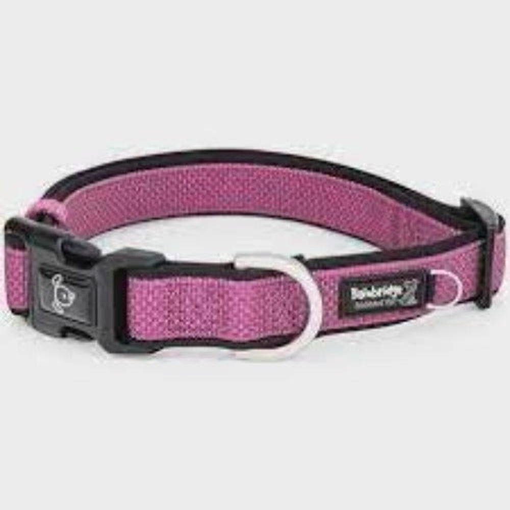 Premium Sport Neoprene Dog Collar
