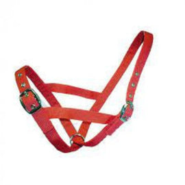 Shoof - Halter Nylon Calf Tethering Red