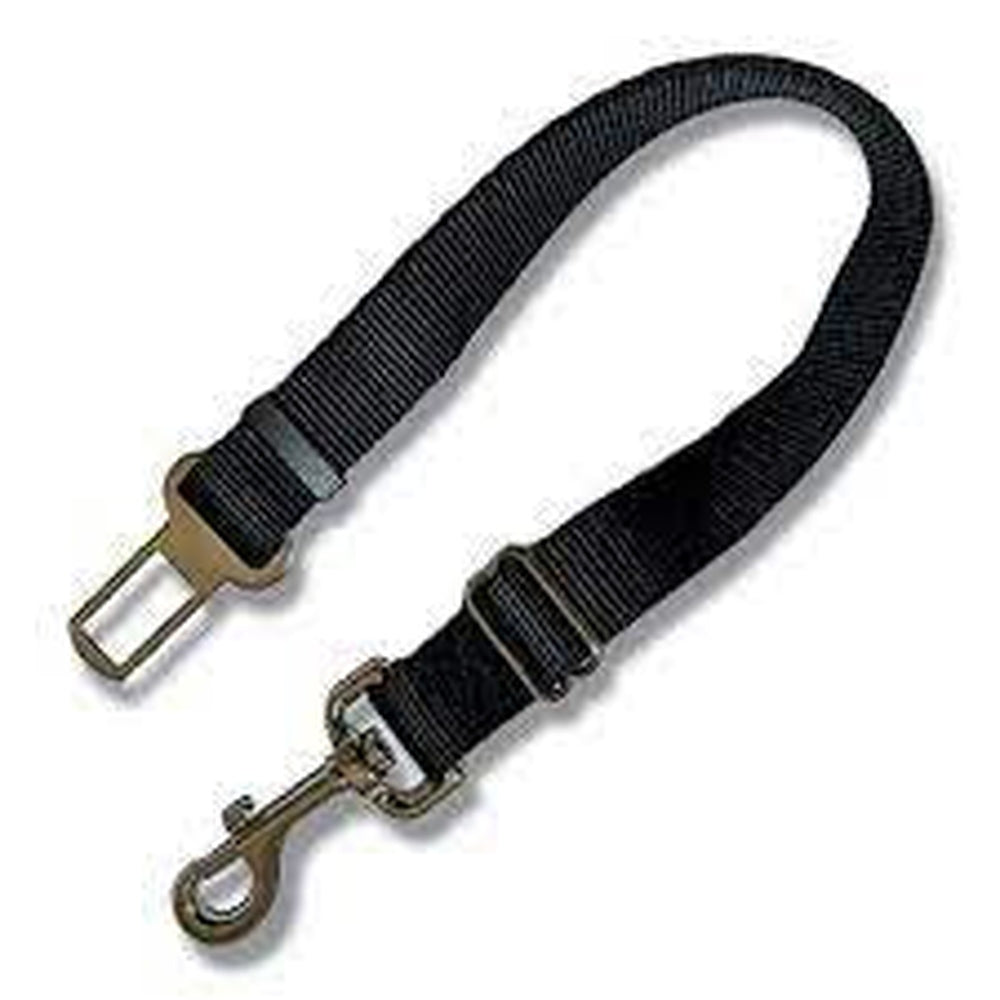 Car Safety Leads XS-SM