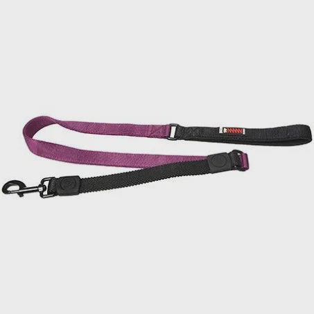 Bungee Dog Leash Neoprene Handle - Purple