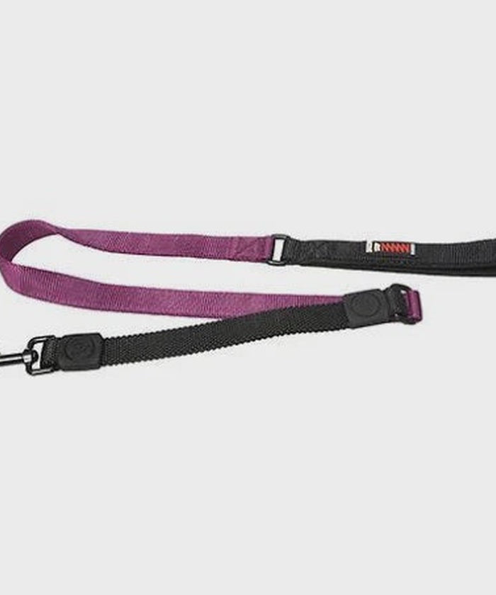 Bungee Dog Leash Neoprene Handle - Purple
