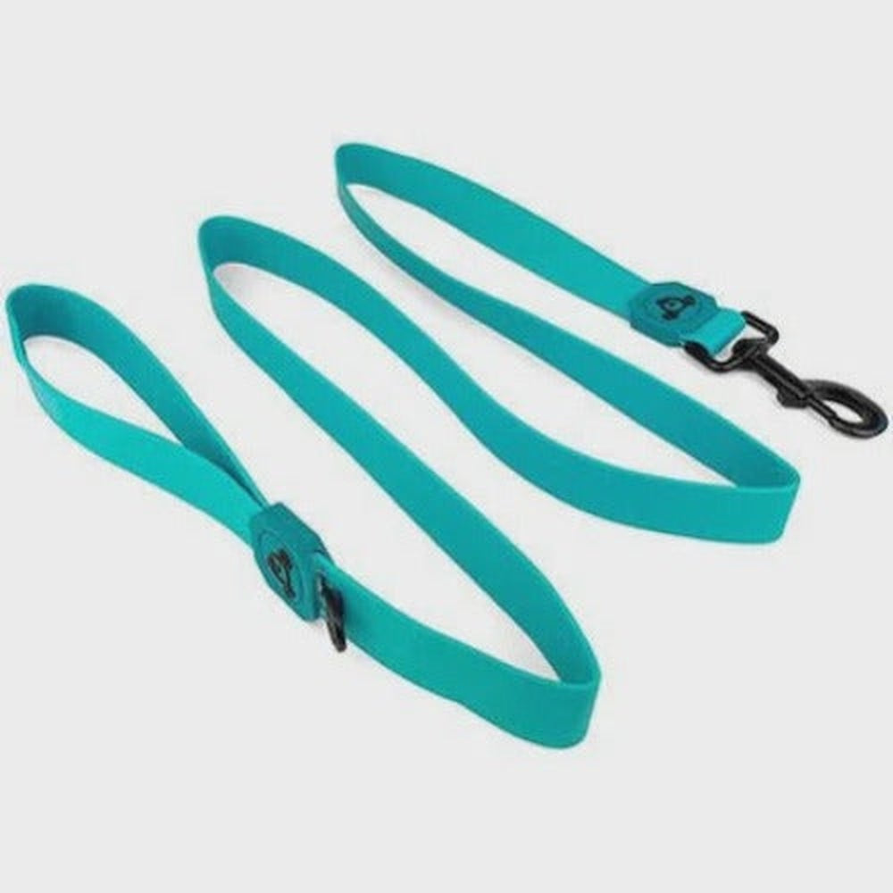 Waterproof Dog Leash (PVC) - Aqua Blue