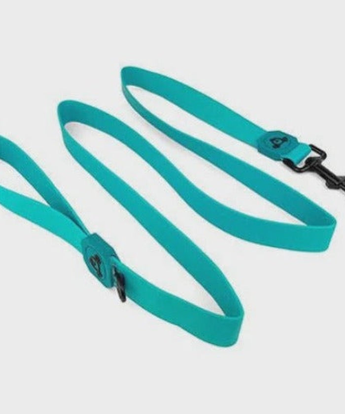 Waterproof Dog Leash (PVC) - Aqua Blue